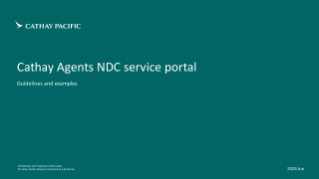 CXA NDC Service Portal_EN.pdf