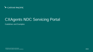CXAgents NDC Servicing Portal Guidelines and Examples