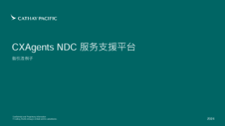 CXAgents NDC Servicing Portal Guidelines and Examples