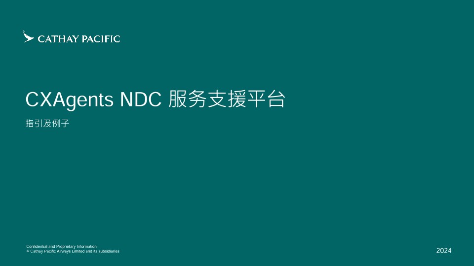 CXAgents NDC Servicing Portal Guidelines and Examples